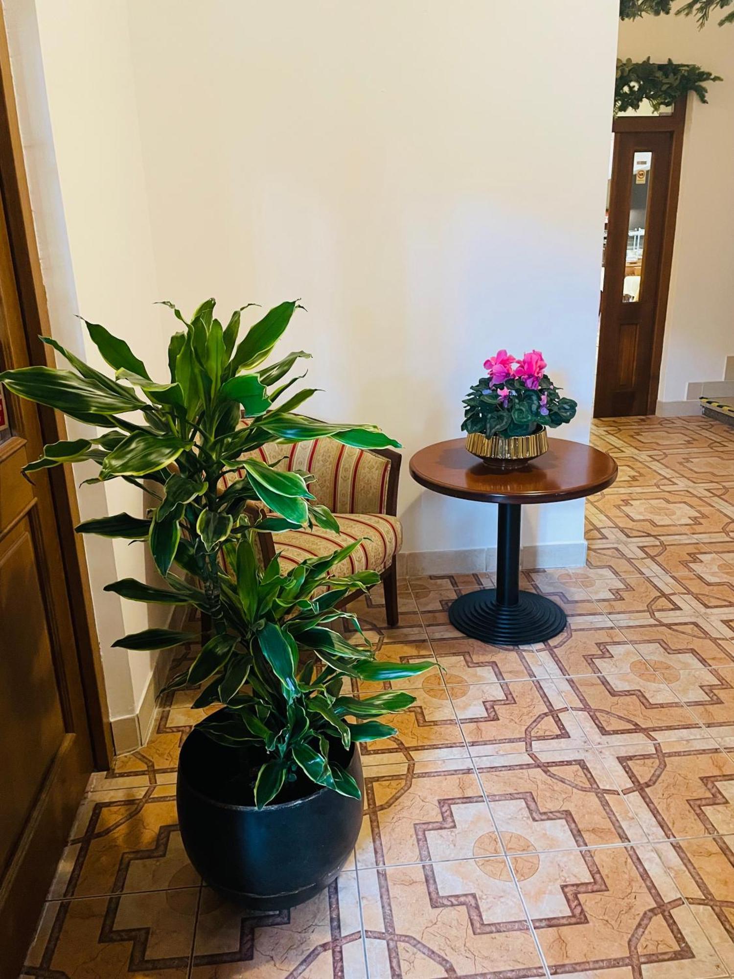 Hotel Majovey Zilina Ngoại thất bức ảnh